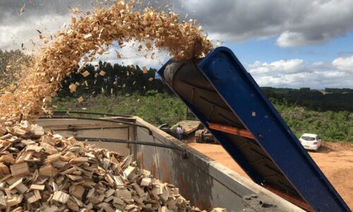 Monster (18) - Demonstração Logwood