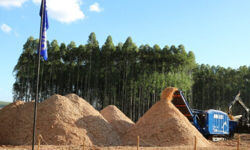 fundo banner (1) (1)(1)