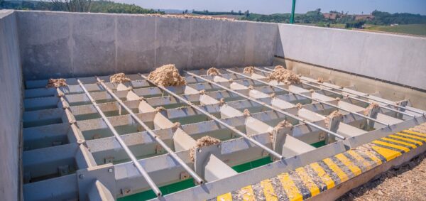 WhatsApp Image 2023-07-06 at 01.21.43 (1)