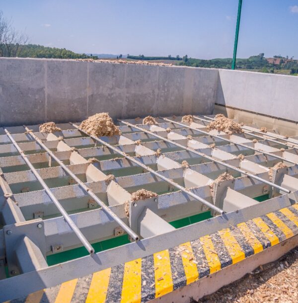 WhatsApp Image 2023-07-06 at 01.21.43 (1)